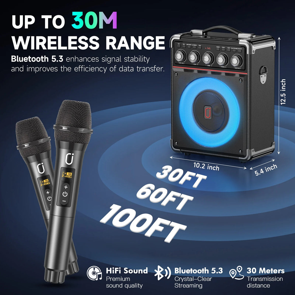 Karaoke Machine, Portable Bluetooth Speaker with 2 Microphones